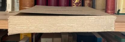 Bruno Romano Il senso esistenziale del Diritto nella prospettiva di Kierkegaard - immagine 4