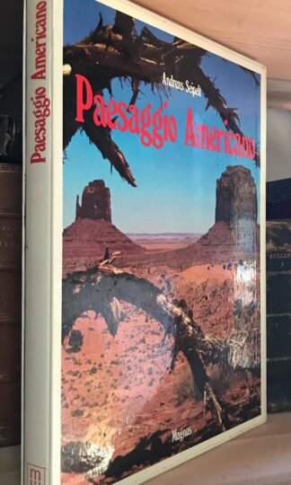 Andrea Seipelt Paesaggio americano Magnus edizioni 1985