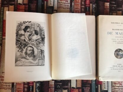 Théophile Gautier Mademoiselle De Maupin ill. Solomko Ferroud 1914 - immagine 5
