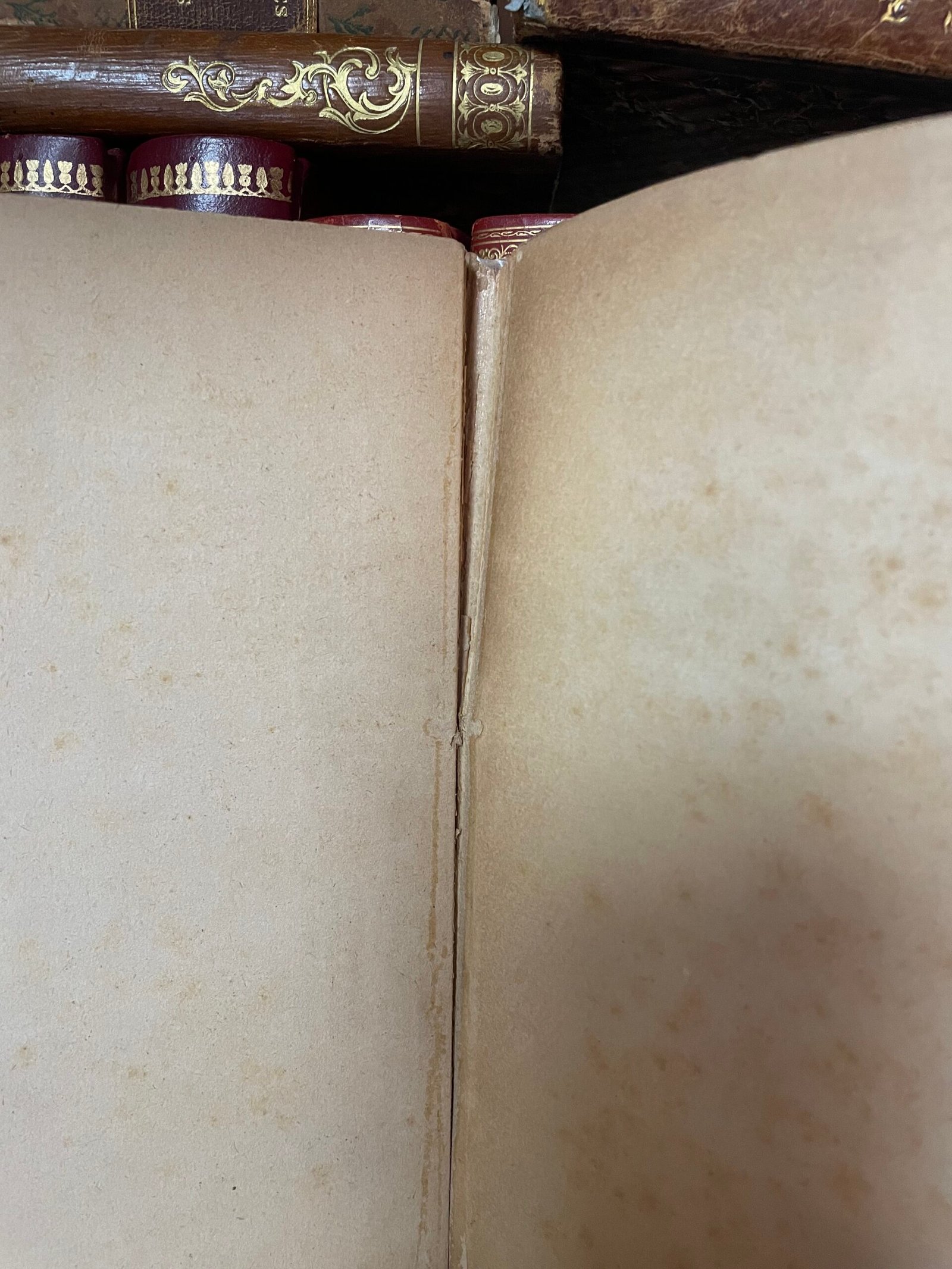 Clemente Rebora Frammenti lirici libreria della voce 1913 dedica autografa dell'A. - immagine 19