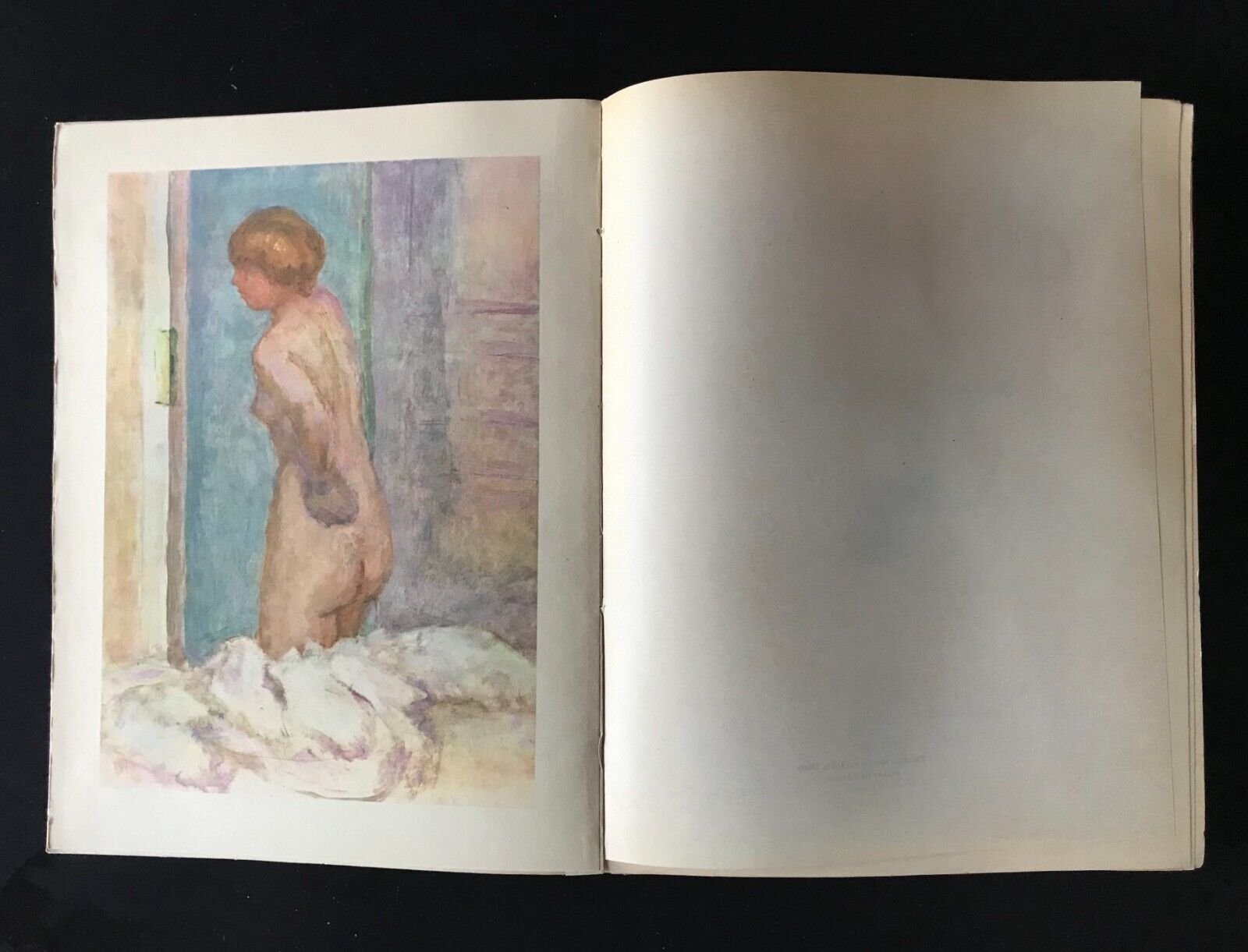 Bonnard par Charles Terrasse Paris Henri Floury Éditeur 1927 - immagine 3