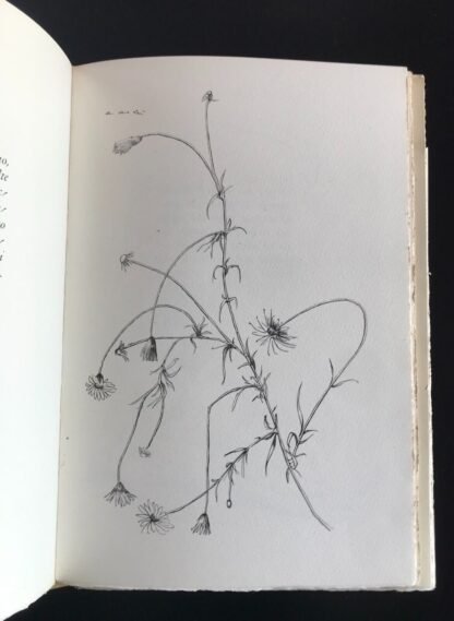 Le Cento Novelle Antiche 2 voll. ed. num. illustrata da Manzù La Conchiglia 1946 - immagine 5