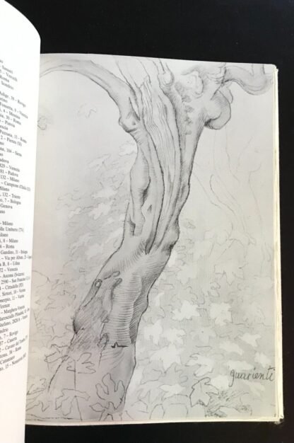 Antologia del Campiello 1981 disegni di Carlo Guarienti - immagine 4