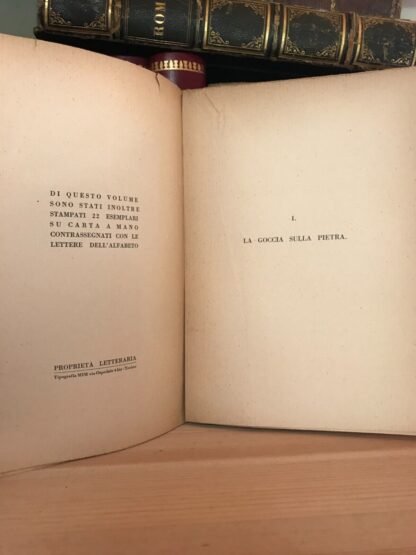Nino Savarese La goccia sulla pietra Fratelli Buratti Editori 1930 - immagine 4