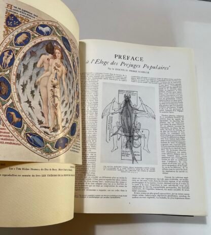 Minotaure Collezione completa 11 fascicoli 13 numeri 1933-1939 Skira - immagine 30