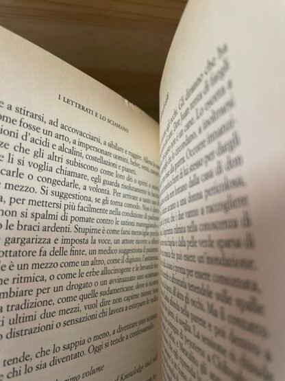 Elémire Zolla I letterati e lo sciamano Marsilio 2012 - immagine 5
