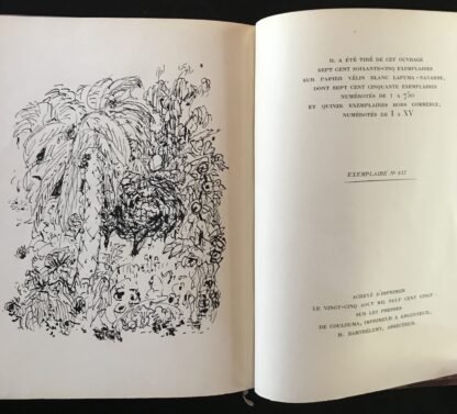 André Gide Le Prométhée mal enchainé trente dessins par Bonnard NRF 1920 - immagine 7