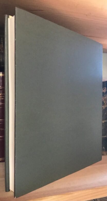 Florens Deuchler Duccio l'opera completa Electa 1984 - immagine 4
