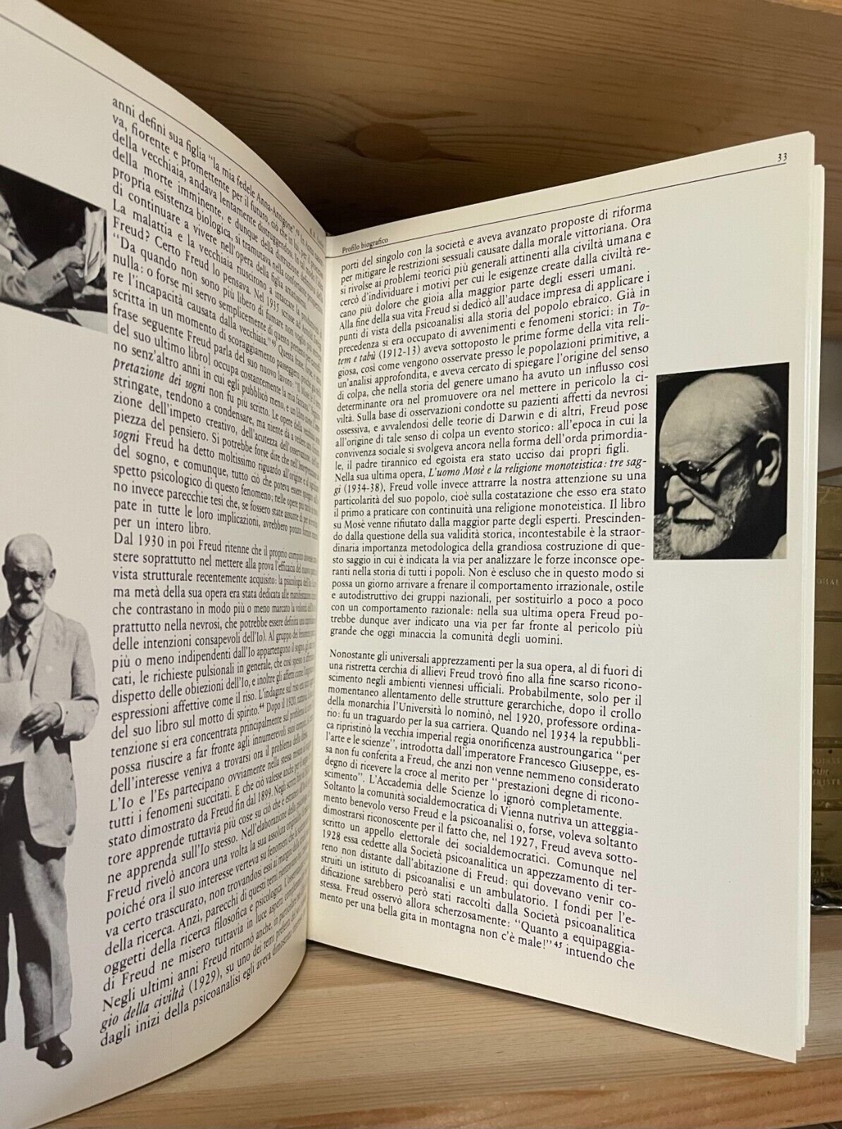 Sigmund Freud Biografia per immagini Boringhieri 1980 - immagine 9