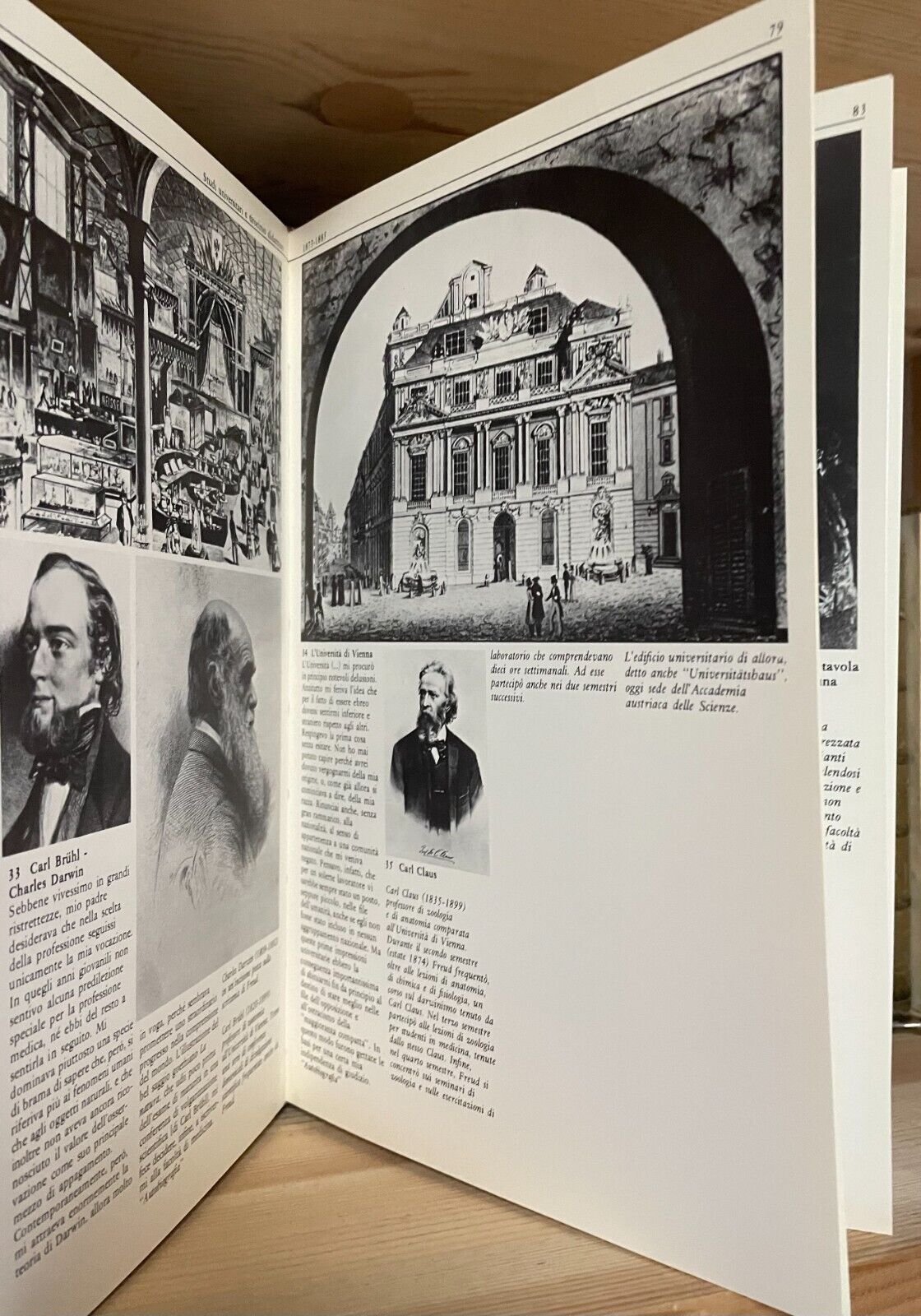 Sigmund Freud Biografia per immagini Boringhieri 1980 - immagine 14