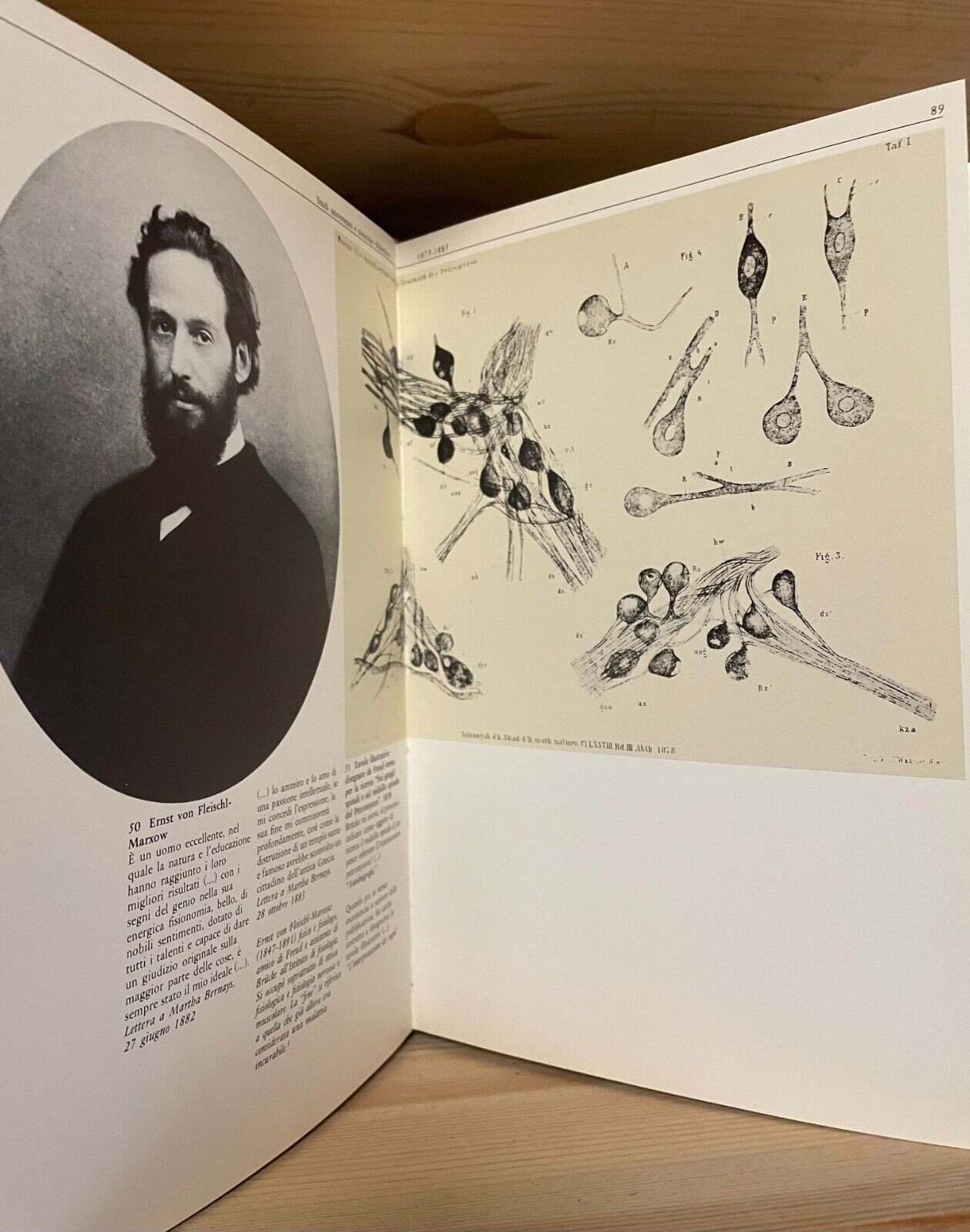 Sigmund Freud Biografia per immagini Boringhieri 1980 - immagine 13