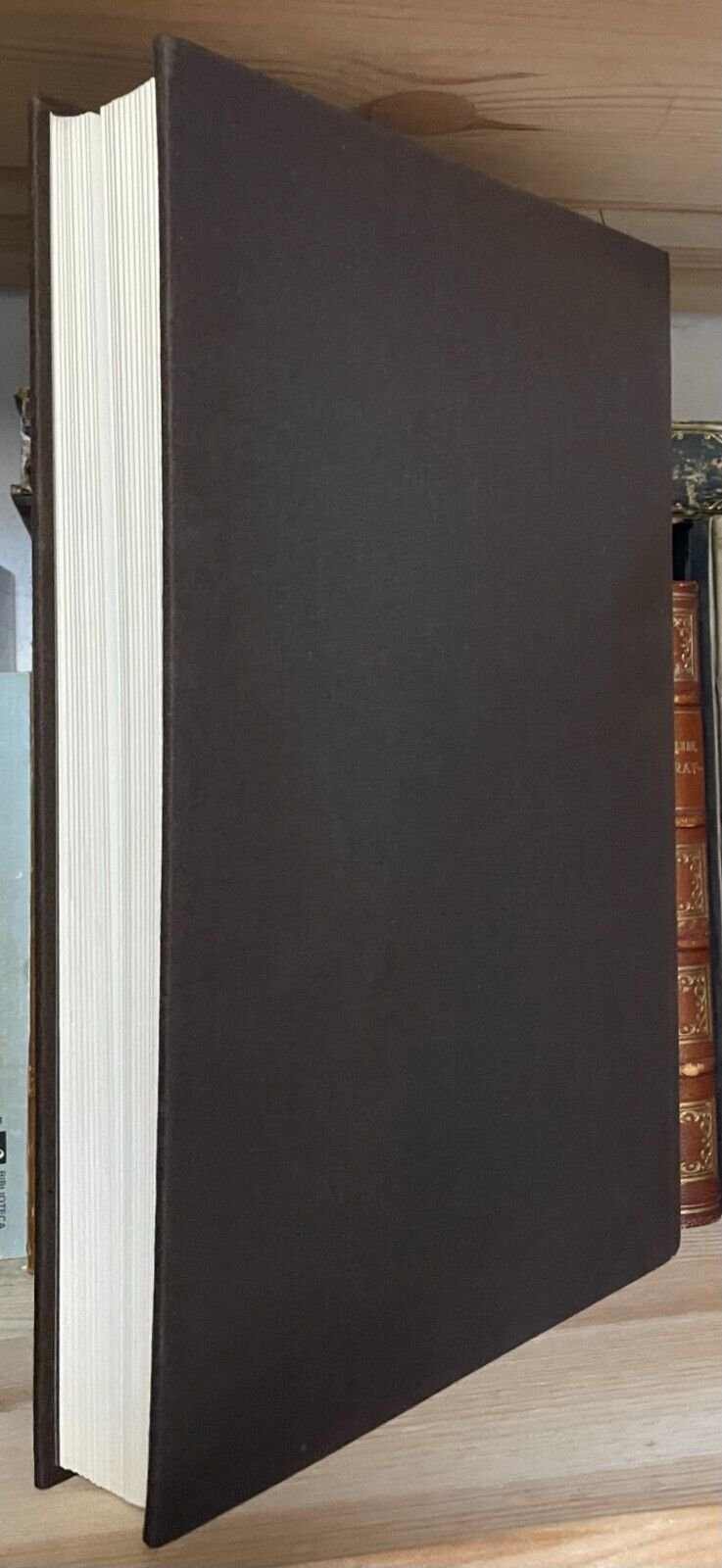 Sigmund Freud Biografia per immagini Boringhieri 1980 - immagine 4