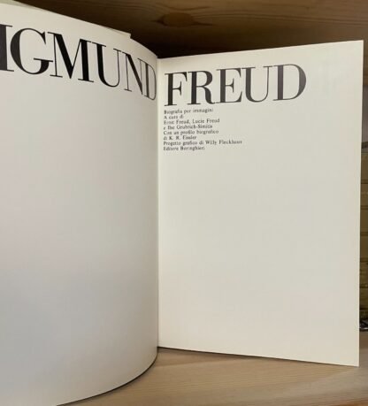 Sigmund Freud Biografia per immagini Boringhieri 1980 - immagine 5