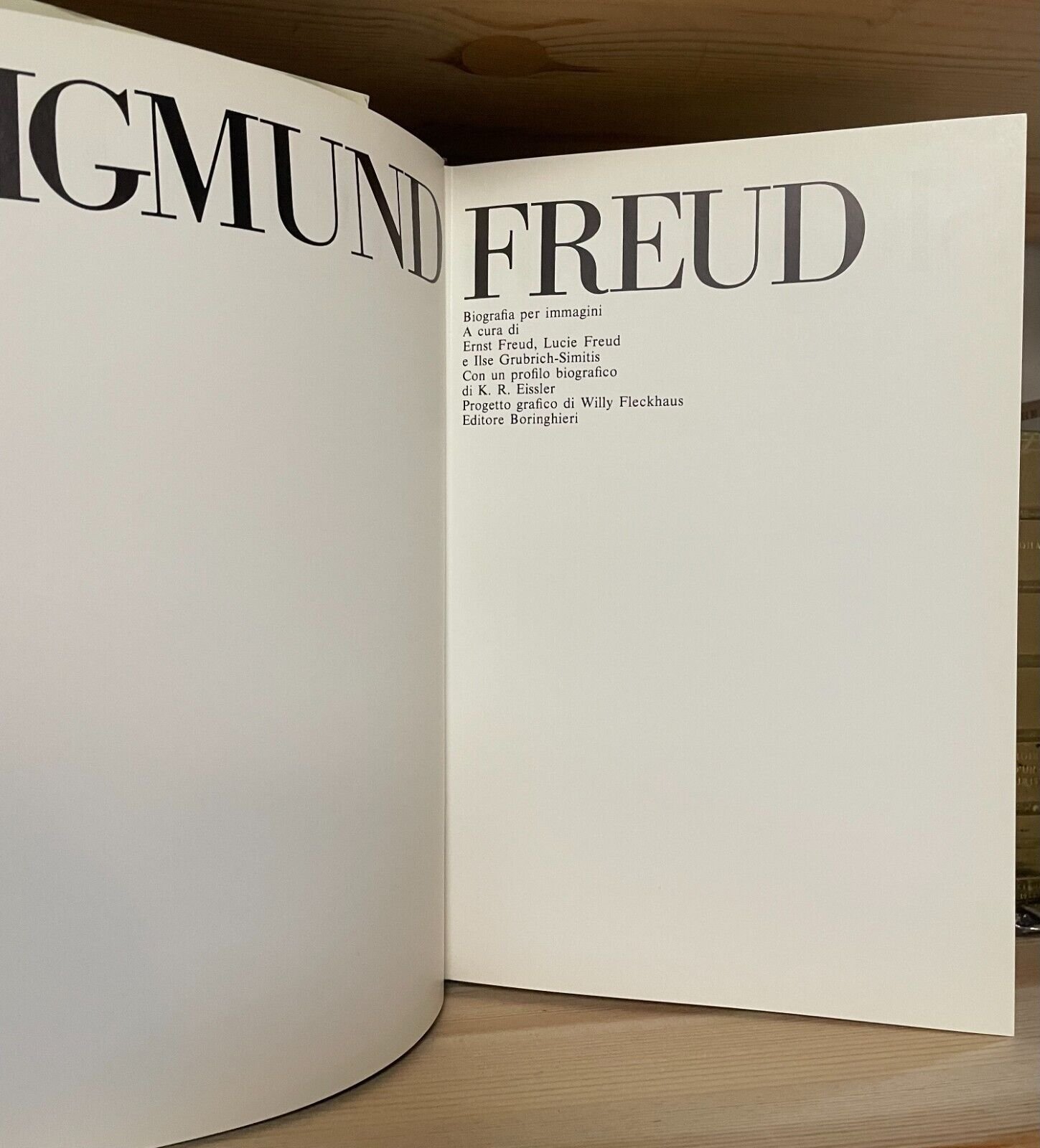 Sigmund Freud Biografia per immagini Boringhieri 1980 - immagine 5