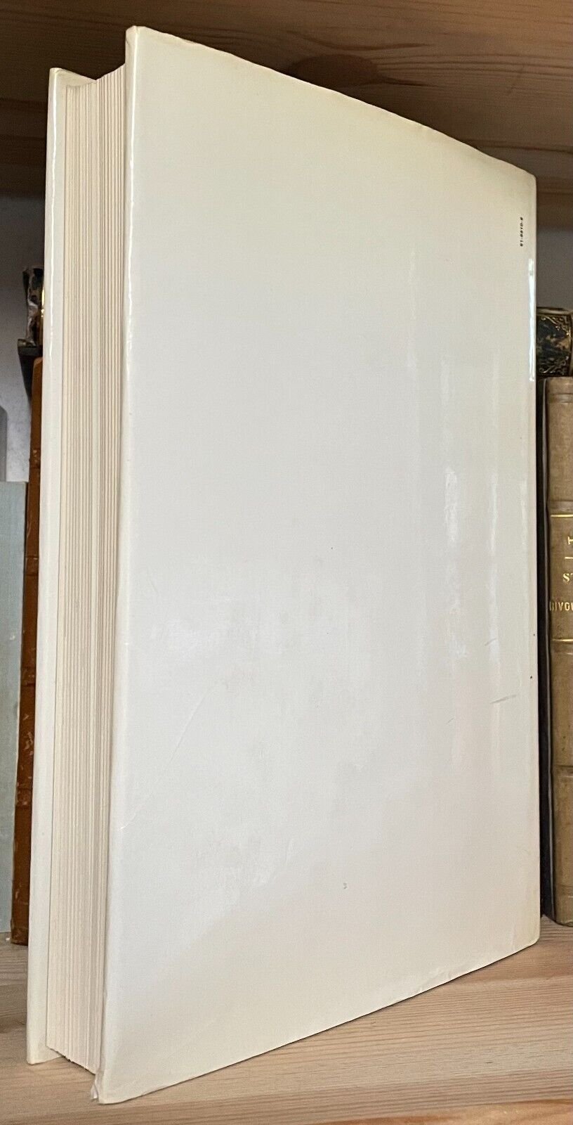 Sigmund Freud Biografia per immagini Boringhieri 1980 - immagine 2