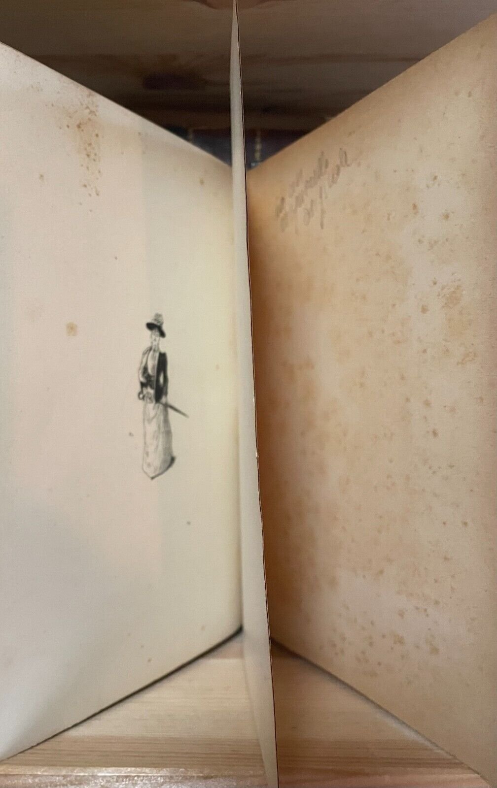 Octave Uzanne Les modes de Paris Illustrations François Courboin Henry May 1898 - immagine 7