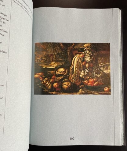 Arcimboldo Texte de Roland Barthes Introduction Achille Bonito Oliva FMR 1978 - immagine 11
