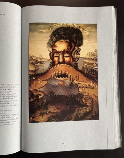 Arcimboldo Texte de Roland Barthes Introduction Achille Bonito Oliva FMR 1978 - immagine 7