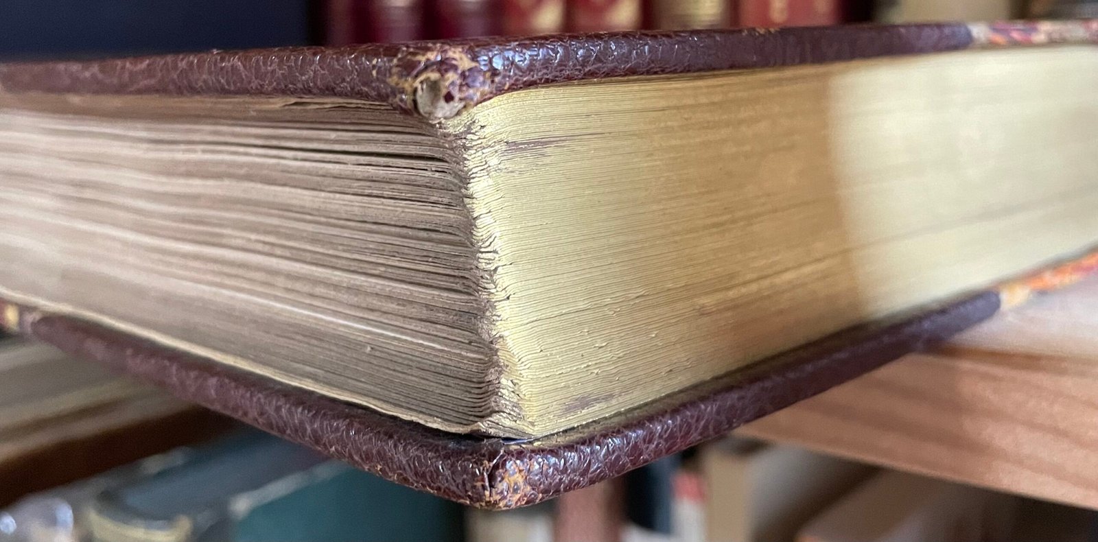 Georges Montorgueil La Vie à Montmartre Illustrations Pierre Vidal Boudet 1899 - immagine 19