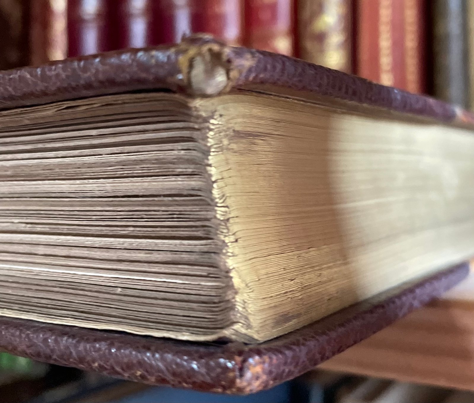 Georges Montorgueil La Vie à Montmartre Illustrations Pierre Vidal Boudet 1899 - immagine 23