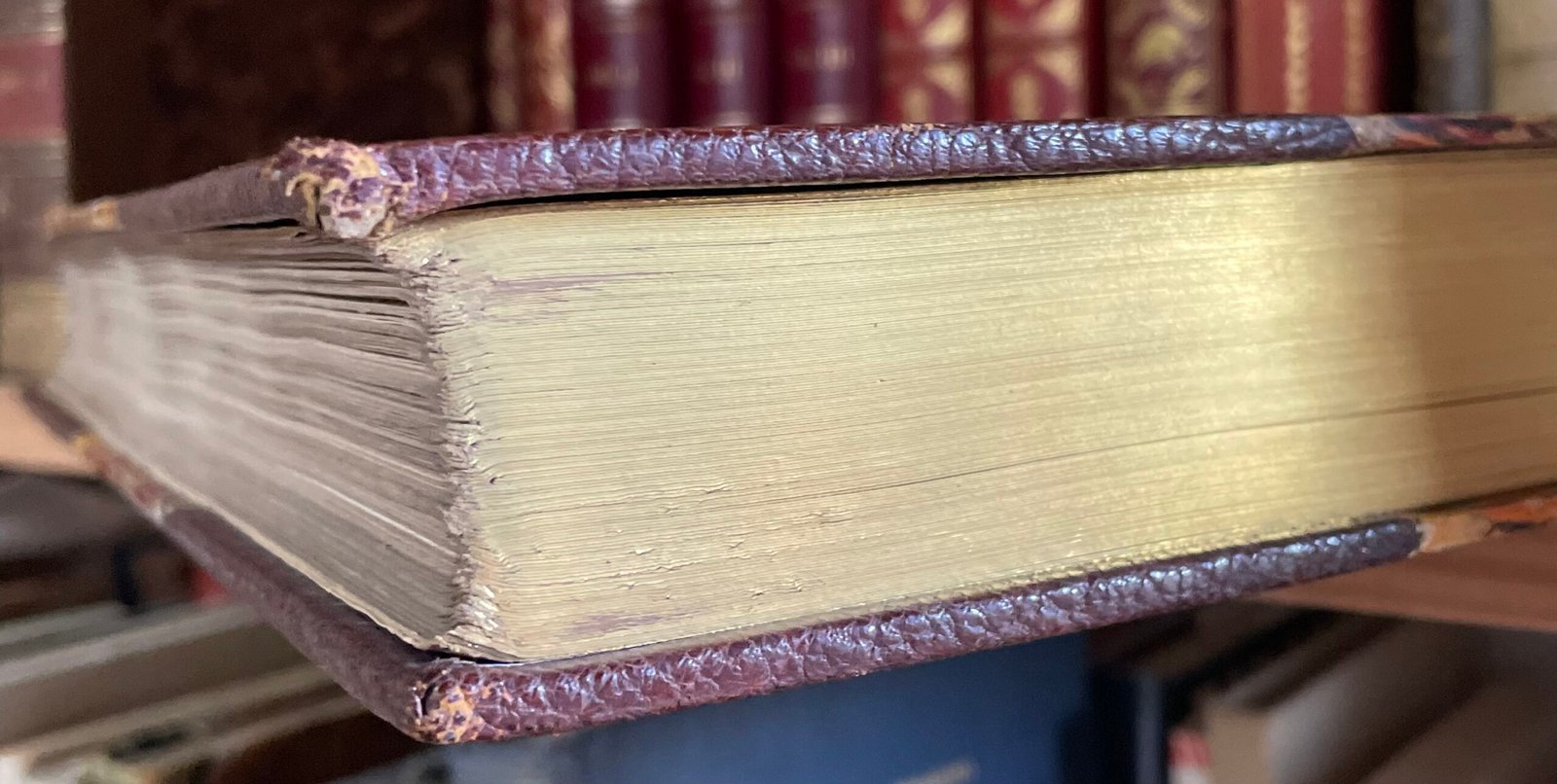 Georges Montorgueil La Vie à Montmartre Illustrations Pierre Vidal Boudet 1899 - immagine 24