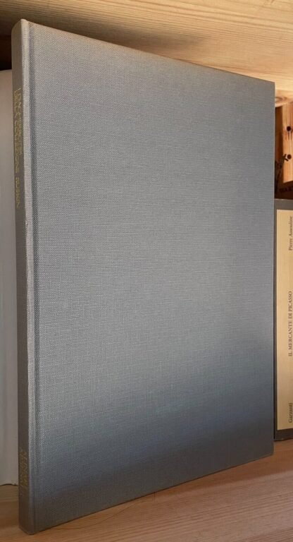 I dagherrotipi della collezione Ruskin Alinari Arsenale 1986 - immagine 3