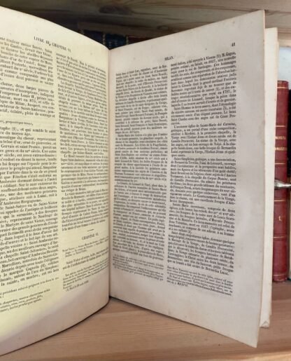 Valery Voyages en Italie Guide de Voyageur et de l'Artiste 3a ed. Hauman 1842 - immagine 9