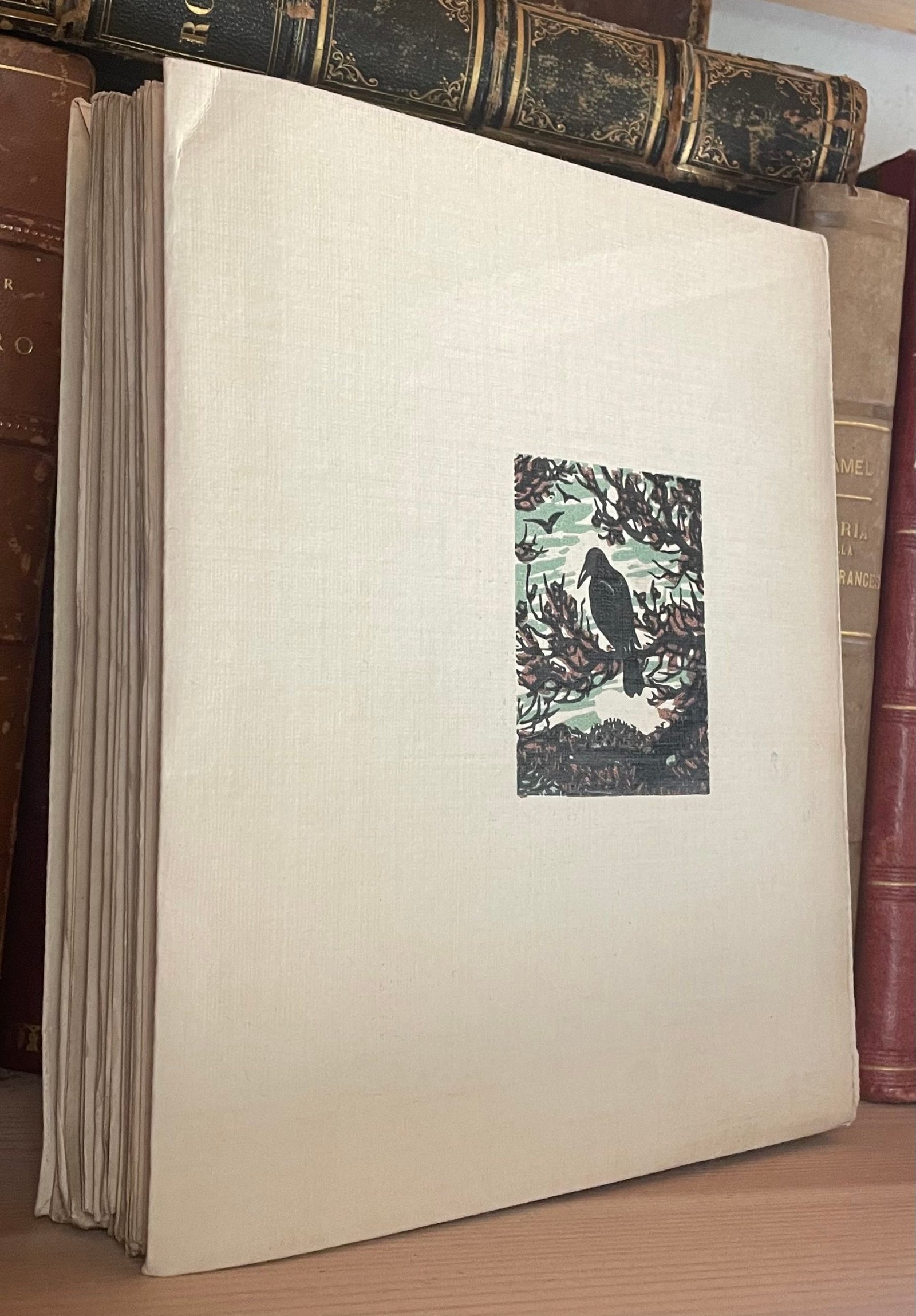 Camille Lemonnier Au coeur frais de la forêt chez Mornay Les Beaux Livres 1922 - immagine 2