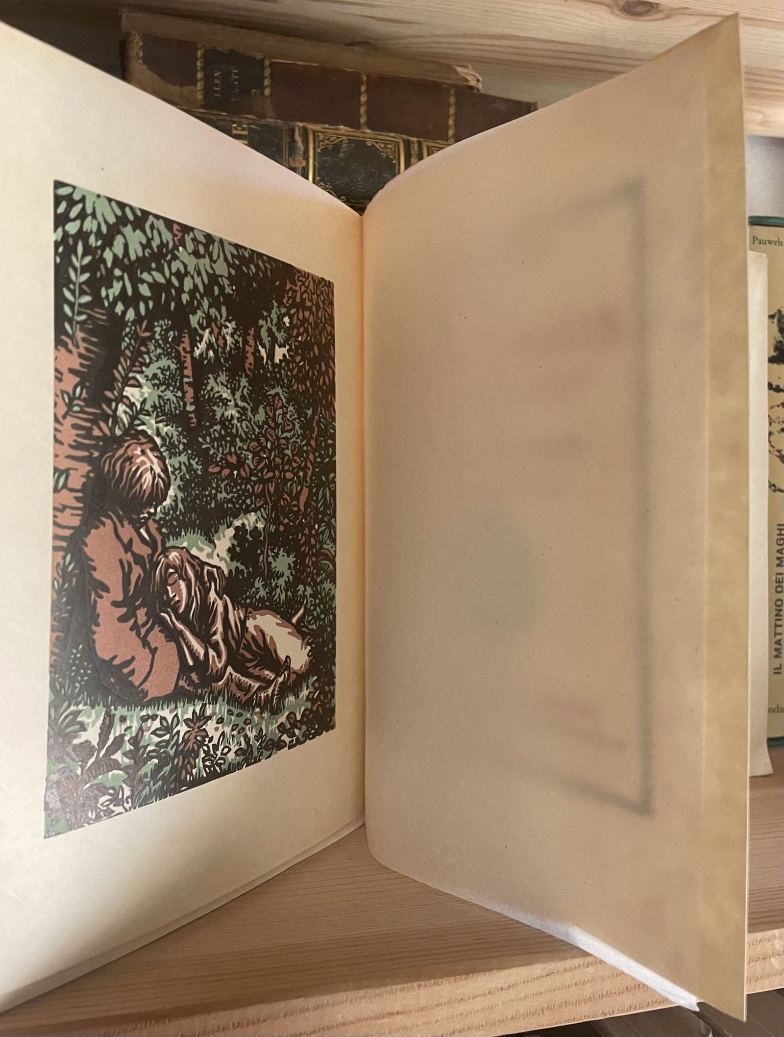 Camille Lemonnier Au coeur frais de la forêt chez Mornay Les Beaux Livres 1922 - immagine 5