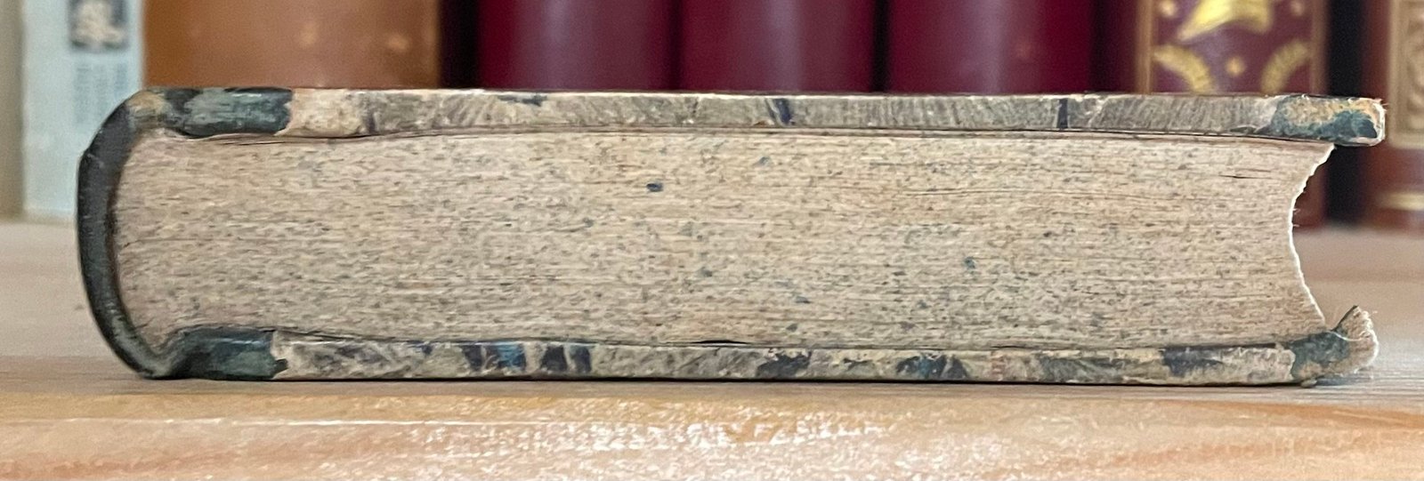 Bellezze della letteratura italiana raccolte Niccolini Bertolotti 1825 - immagine 14