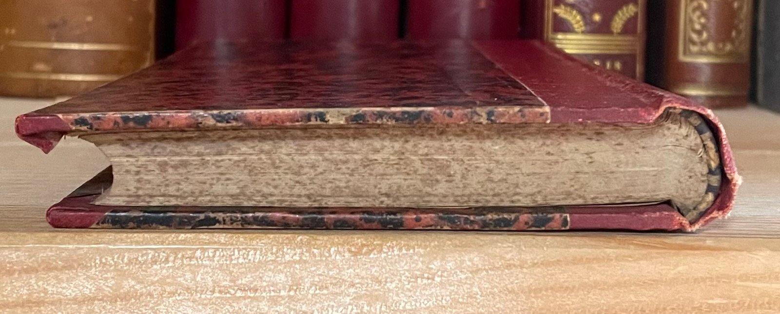 Gabriele D'Annunzio Elegie romane 1887-1891 Zanichelli 1892 - immagine 12