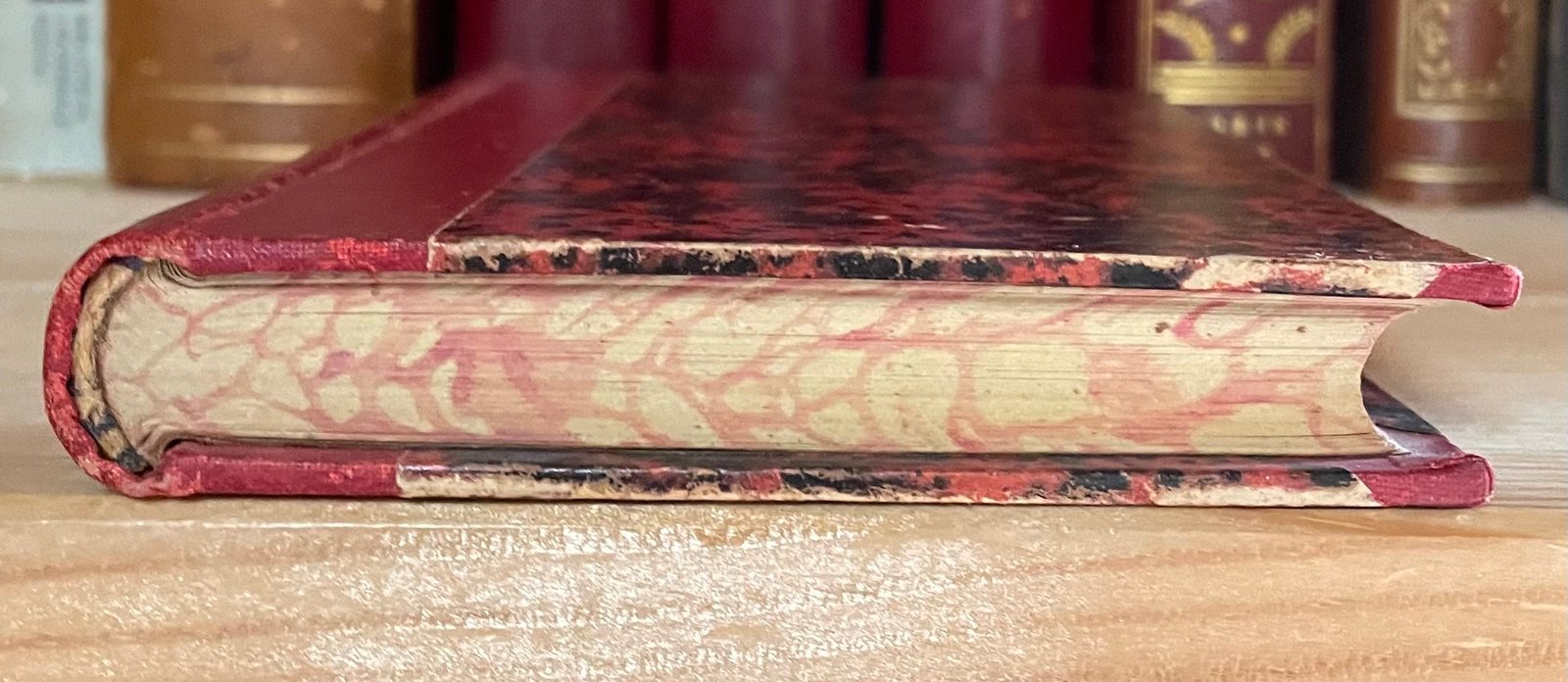 Gabriele D'Annunzio Elegie romane 1887-1891 Zanichelli 1892 - immagine 11