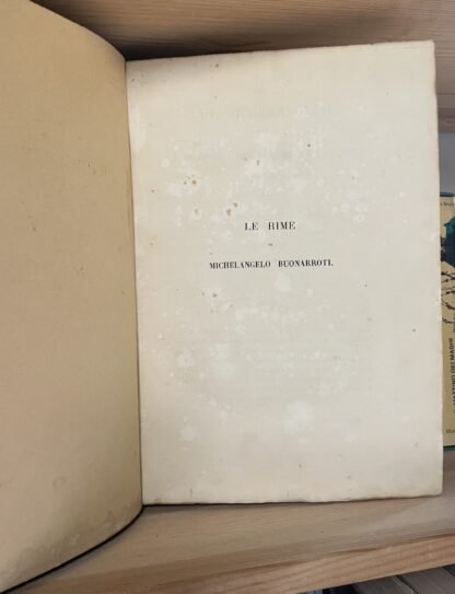 Le rime di Michelangelo Buonarroti Cesare Guasti Le Monnier 1864 - immagine 8