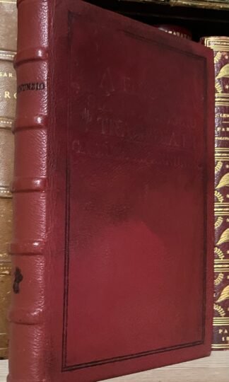 D'Annunzio La fiaccola sotto il moggio prima edizione Treves 1905 quinto migliaio