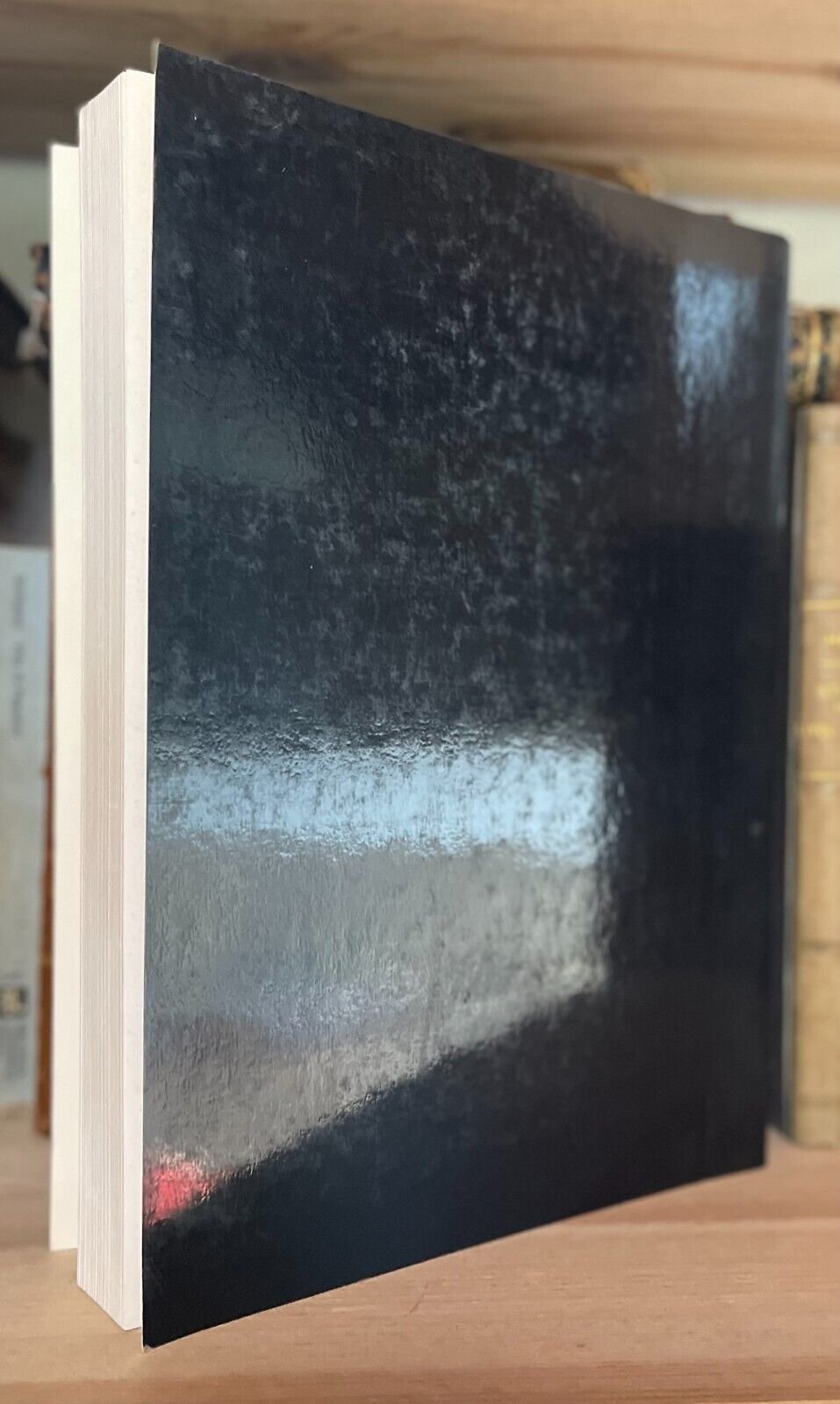 Andrea Del Sarto 1486-1530 Dipinti e disegni a Firenze D'Angeli Haeusler Editore - immagine 2