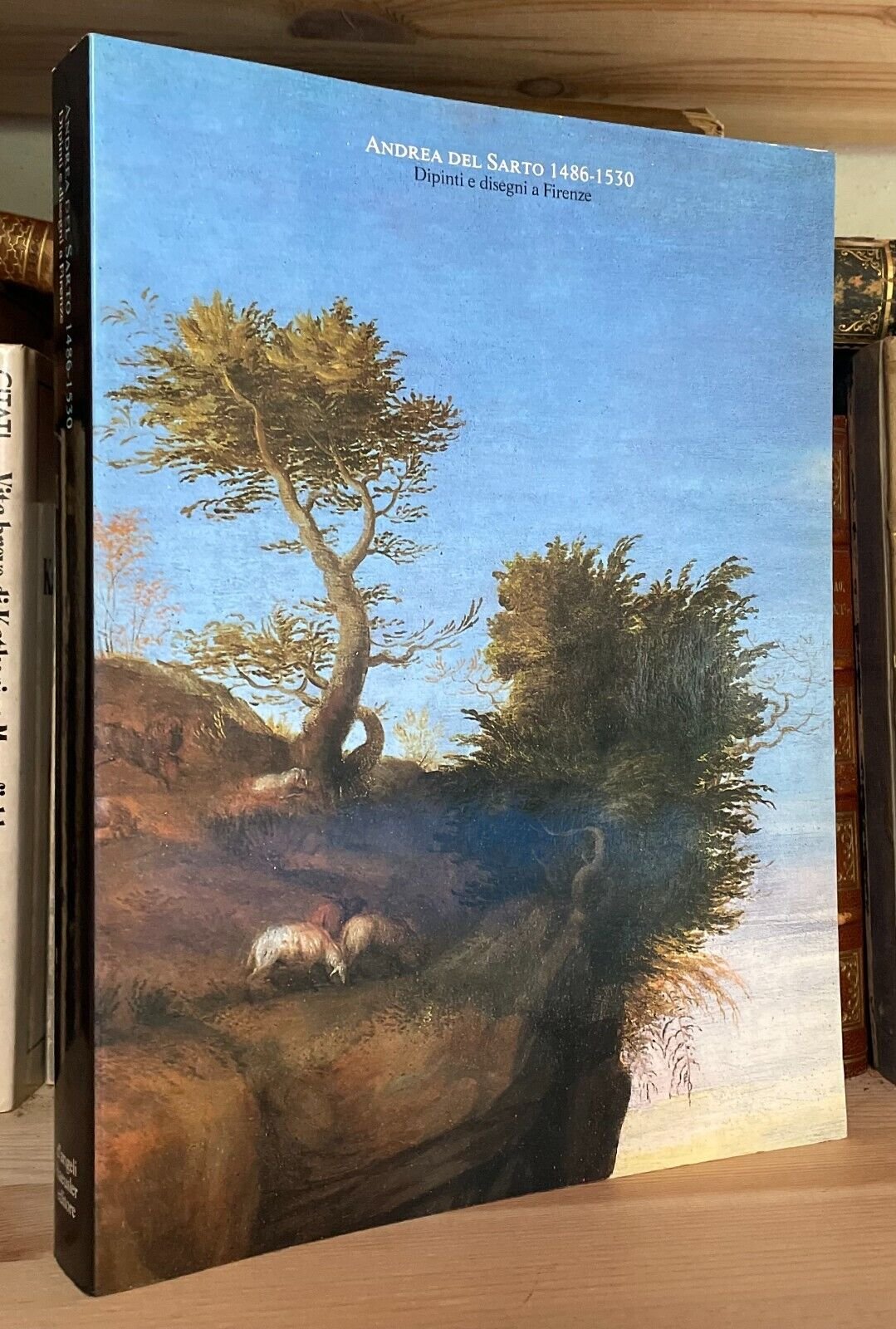 Andrea Del Sarto 1486-1530 Dipinti e disegni a Firenze D'Angeli Haeusler Editore