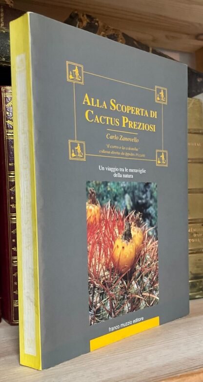 Carlo Zanovello Alla scoperta dei cactus preziosi Franco Muzzio Editore 1992