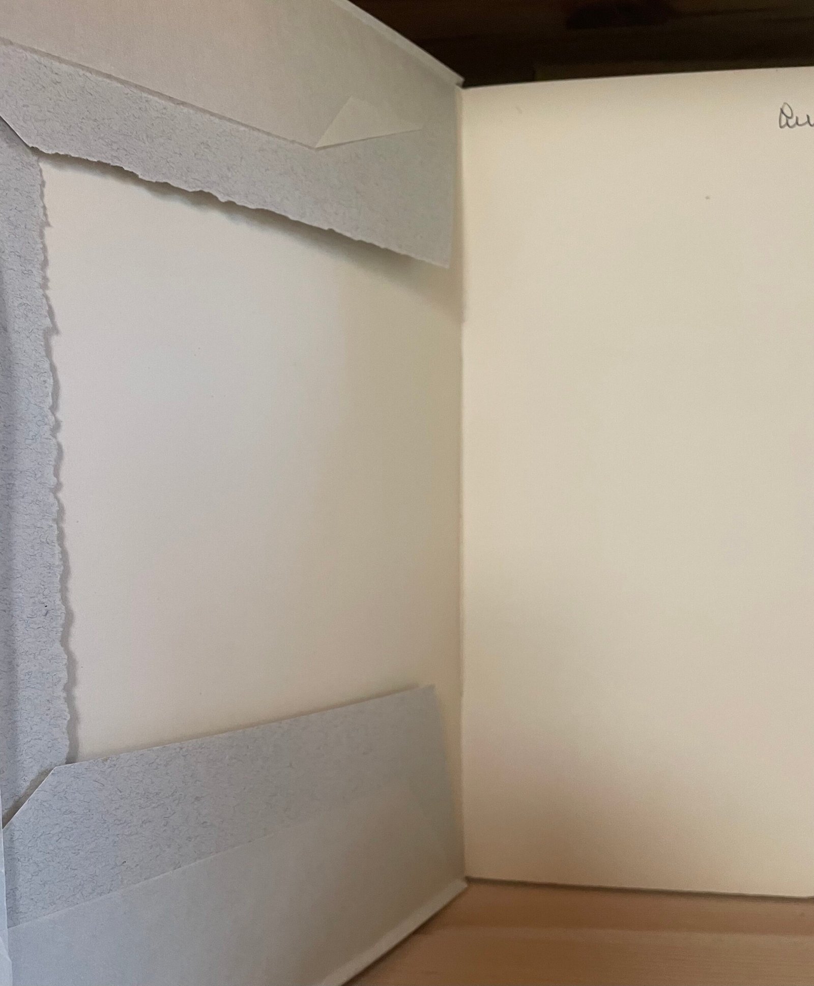 Paul Morand Foujita éditions des Chroniques du Jour 1928 - immagine 3