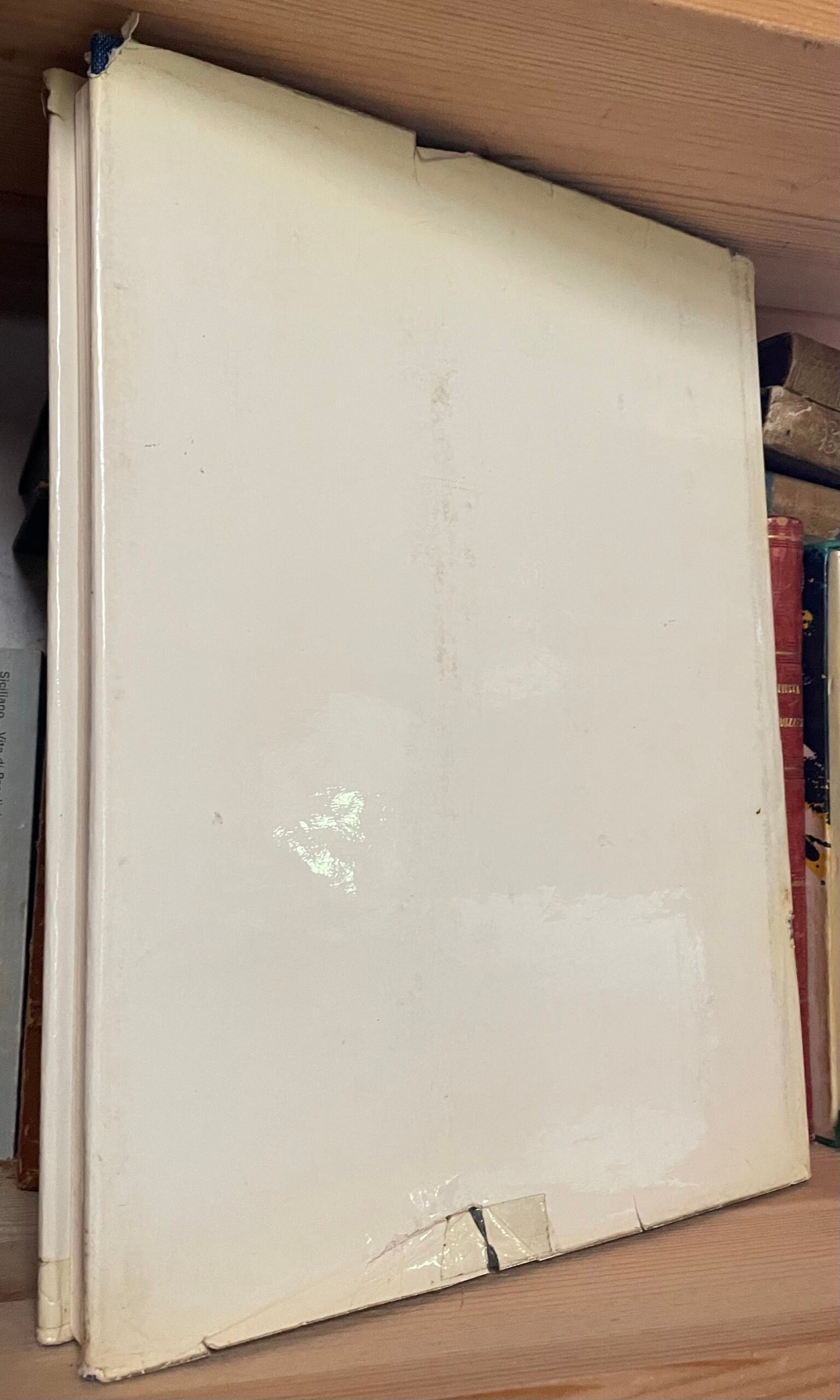 François Daulte Alfred Sisley Editions Durand Ruel 1959 - immagine 2