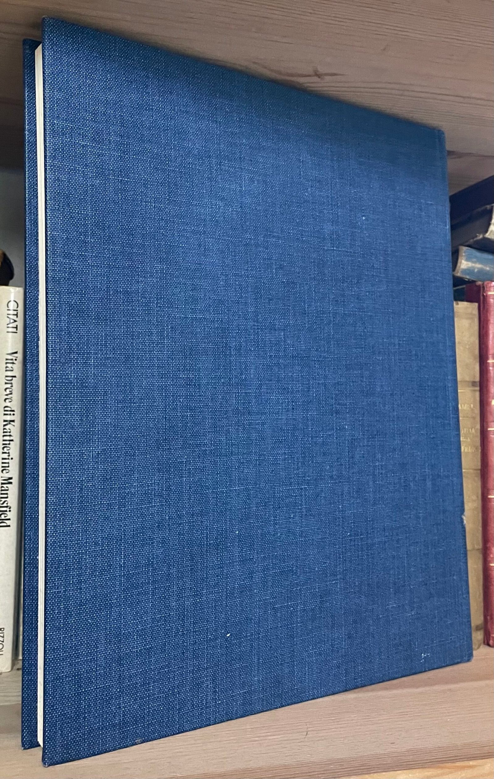 François Daulte Alfred Sisley Editions Durand Ruel 1959 - immagine 4