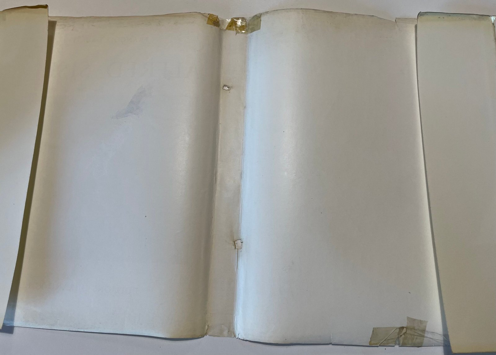 François Daulte Alfred Sisley Editions Durand Ruel 1959 - immagine 11