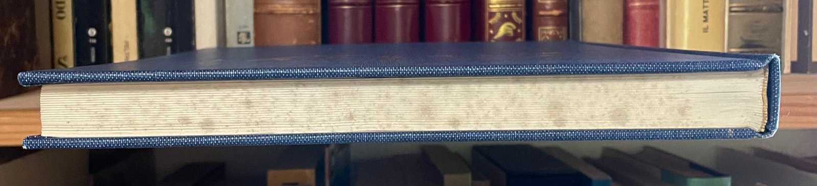 François Daulte Alfred Sisley Editions Durand Ruel 1959 - immagine 12