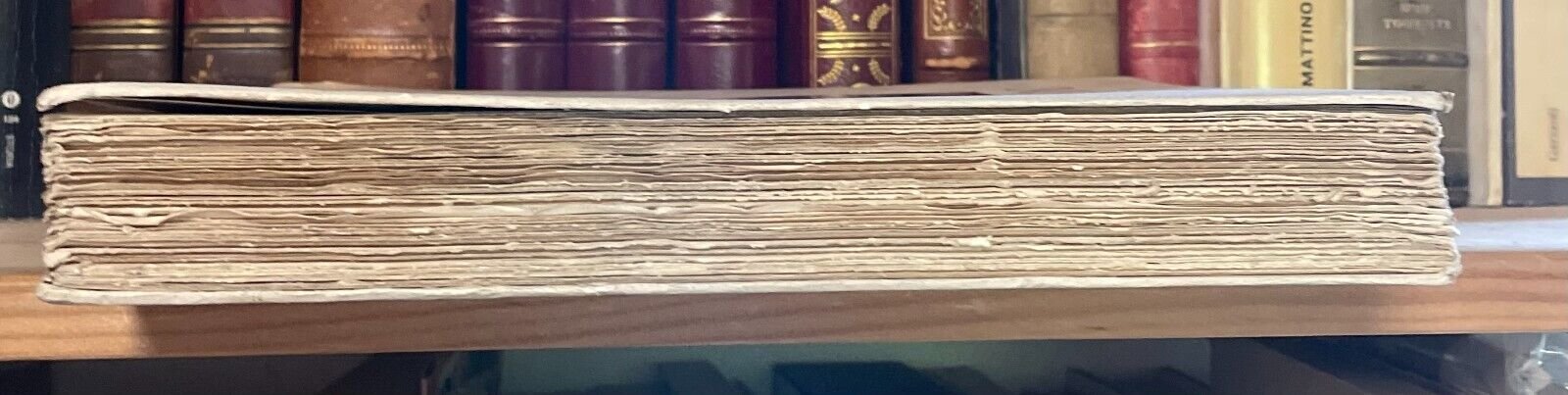 Duret Histoire de Edouard Manet et de son oeuvre Bernheim-Jeune 1926 - immagine 18