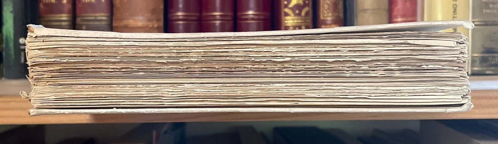 Duret Histoire de Edouard Manet et de son oeuvre Bernheim-Jeune 1926 - immagine 19