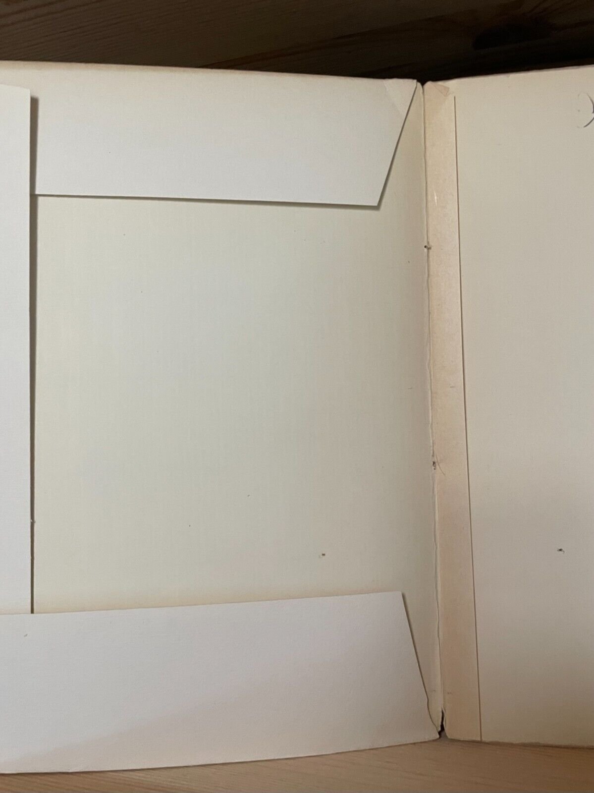 Duret Histoire de Edouard Manet et de son oeuvre Bernheim-Jeune 1926 - immagine 4