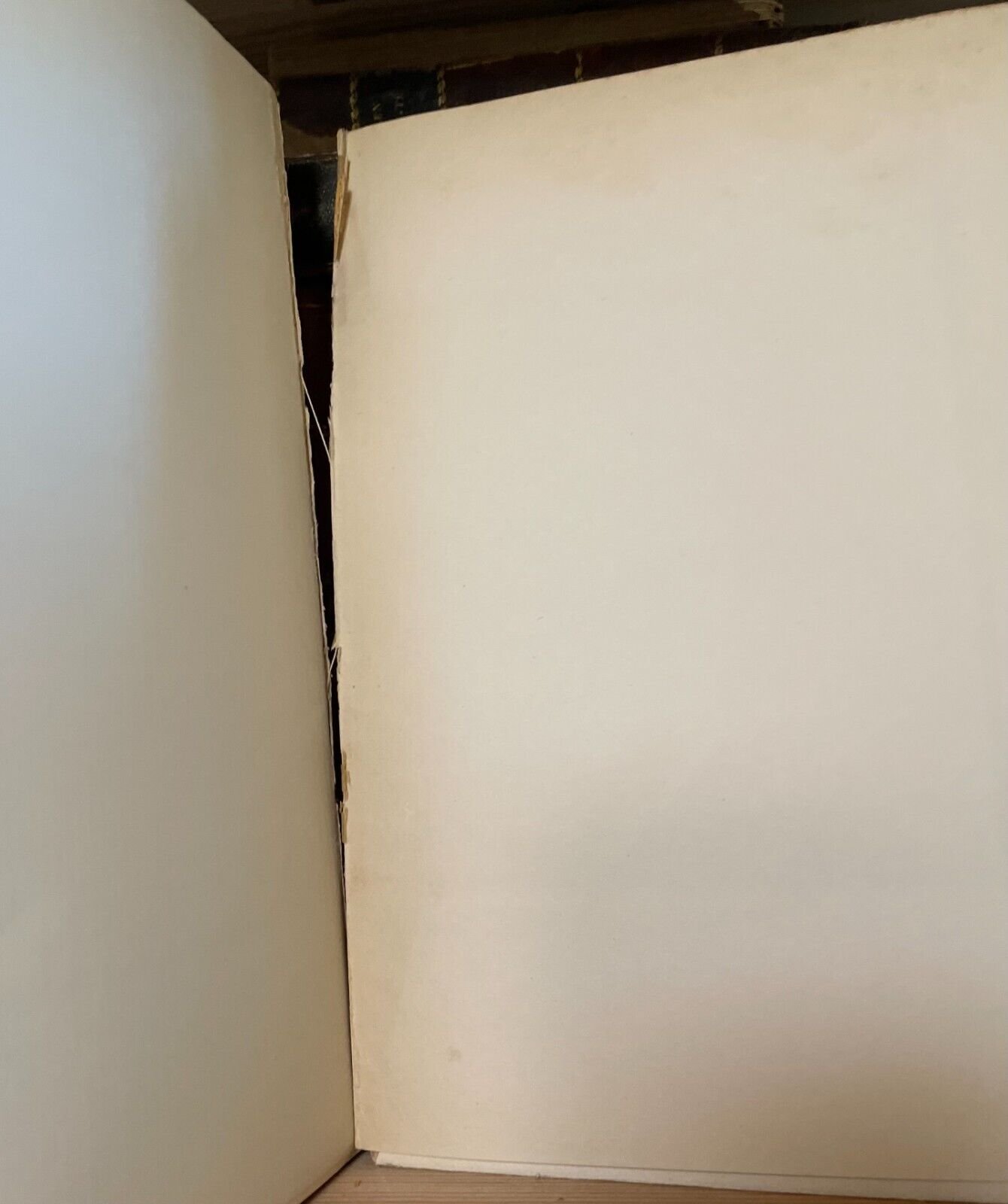 Duret Histoire de Edouard Manet et de son oeuvre Bernheim-Jeune 1926 - immagine 5