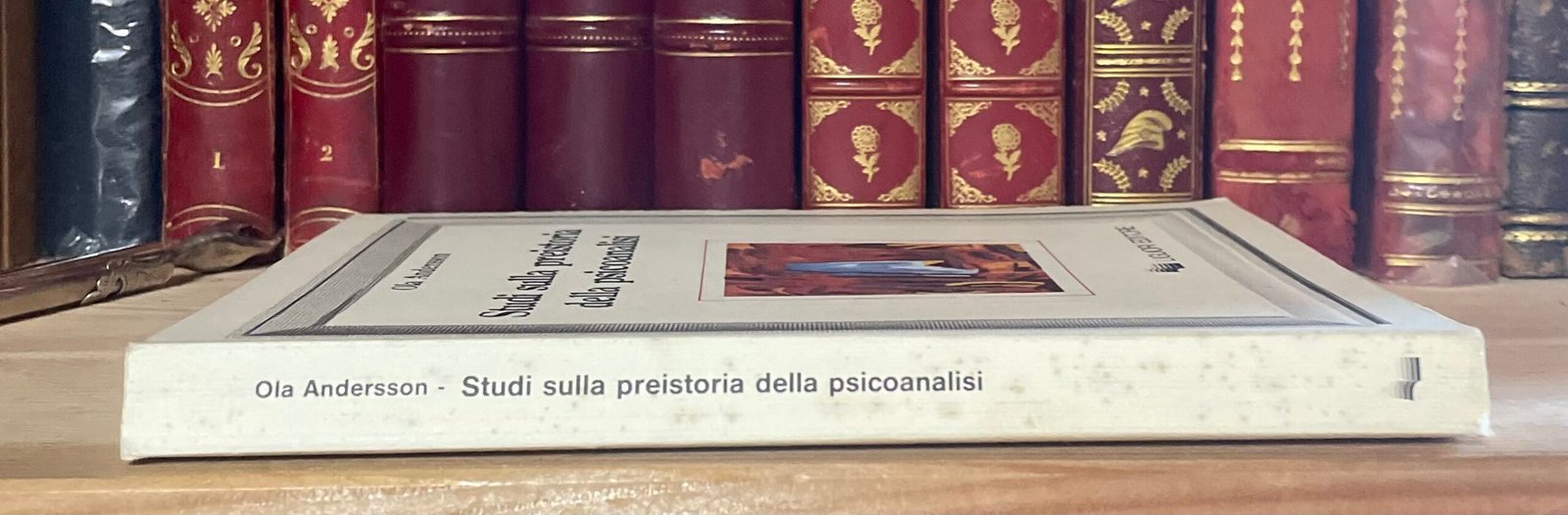 Ola Andersson Studi sulla preistoria della psicoanalisi Liguori Editore 1990 - immagine 9
