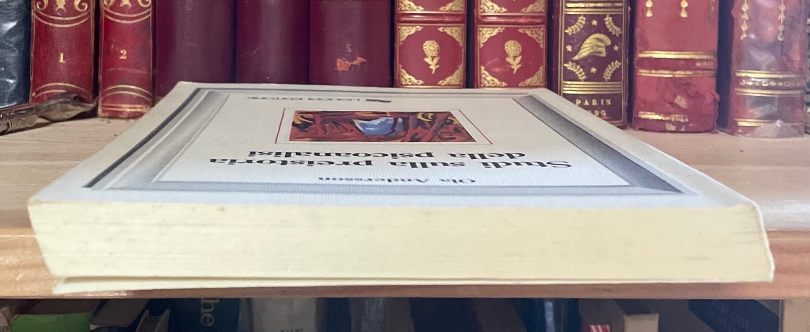 Ola Andersson Studi sulla preistoria della psicoanalisi Liguori Editore 1990 - immagine 10