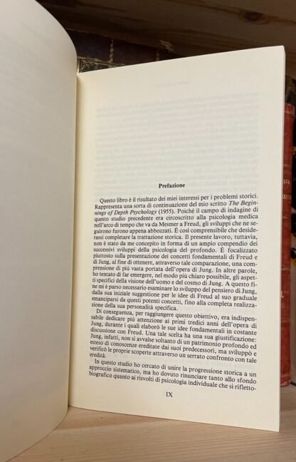 Liliane Frey-Rohn Da Freud a Jung Raffaello Cortina Editore 1995 - immagine 4