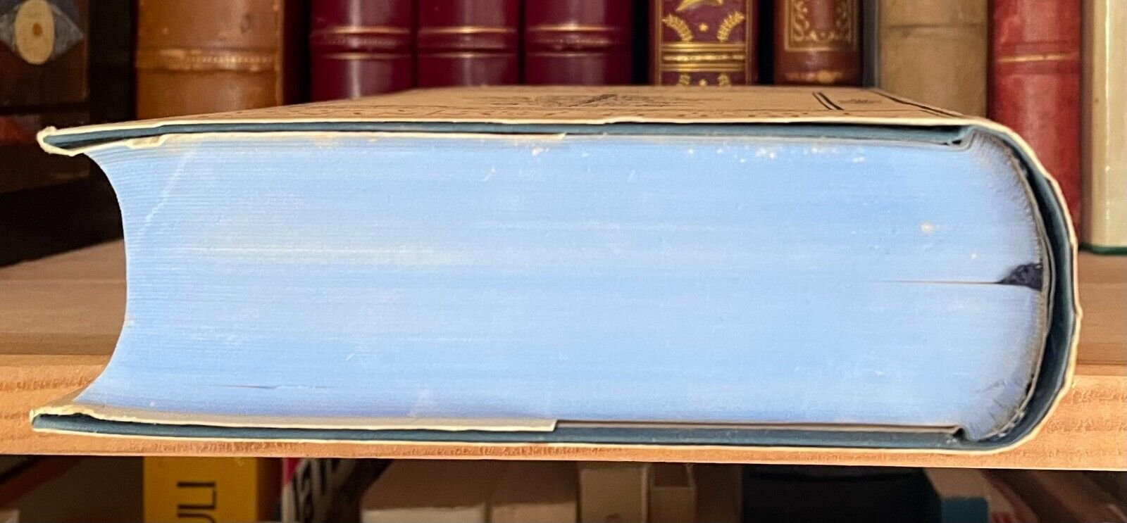 Gabriele D'Annunzio Prose di romanzi Vol I I romanzi della Rosa Mondadori 1940 - immagine 8